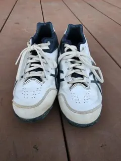 Item thumbnail for item a33a1487-b53a-4007-82bd-ed366d3d59c1