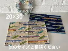 Item thumbnail for item 77f368bc-e68d-4c9f-8fa5-fa21d92af442