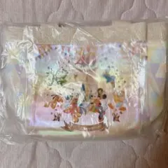 ディズニーランド 40周年 ランチケース