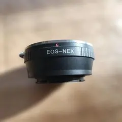 Item thumbnail for item 530e4141-3386-4d55-929f-878c7a2a28cb