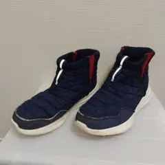 Item thumbnail for item 0179dad1-a2e2-4477-8cec-685c4c0c3843