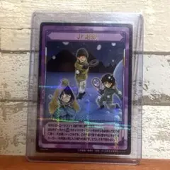 宍戸亮 トレカ テニプリ レア SR カード SP3044SR スーパーレア 宍戸亮 トレカ テニプリ レア SR カード SP3044SR スーパーレア - メルカリ