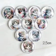 2.5cm カボション 10個