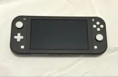 【美品】Nintendo Switch Lite グレー ＋純正ケース 匿名配送 assl-037_1.jpg