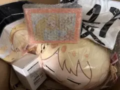 NGT48 サマーバッグ 35,000円 磯部瑠紅 福袋 - メルカリ