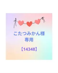 ネイルチップ　ショートオーバル　☆ホロ サイズオーダー【14348】