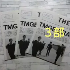 ミッシェル・ガン・エレファント　THEE Times 新聞　3部セット