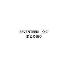 SEVENTEEN WOOZI トレカ まとめ売り 30枚セット