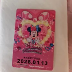 ミニーのファンダーランド パルパルーザ フリーきっぷ　フリー切符