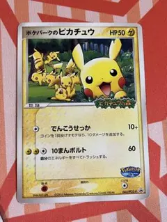 2025年最新】ポケパーク のピカチュウの人気アイテム - メルカリ