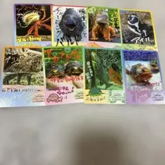 鳥羽水族館 コレクションカード vol.2