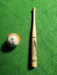 福岡ソフトバンクホークス - クリストファーロビン　城島健司選手　サインバット　福岡ダイエーホークス 福岡ソフトバンクホークス - クリストファーロビン様専用 城島