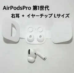 Apple AirPods Pro 第1世代 片耳 R 片方 純正イヤーチップ