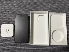 Item thumbnail for item ab29467f-b60c-4b20-a165-eb896244da94