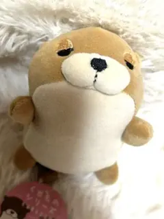 【新品】くせものシリーズ　カワウソ