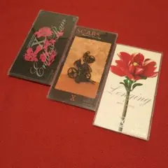 【激レア 限定品】X JAPAN  シングル・ボックス 2026年最新】X JAPAN SINGLE BOXの人気アイテム - メルカリ