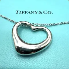 2026年最新】tiffany＆co． ティファニー エルサ ペレッティ オープン