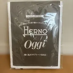 HERNO×Oggi [働く私のサブトートBAG]のサムネイル