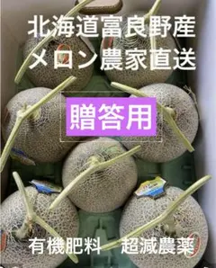 北海道富良野メロン 赤肉 5〜7玉 有機肥料 超減農薬 農家直送(a42）のサムネイル
