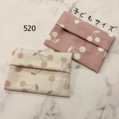 【520】ミニサイズ　ポケットティッシュケース　２個セット