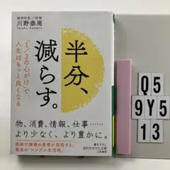 半分、減らす。 Q5-5Y913