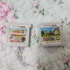 どうぶつの森 & ハッピーホームデザイナー 2本セット