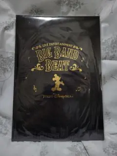 【未開封】東京ディズニーシー 15周年 ビックバンドビート フォトブック 写真集 ディズニーシー ビッグバンドビート フォトブック 15周年 Amazon