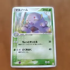 ポケモンカード 海外 メガニウム ホロ リーグプロモ League 英語