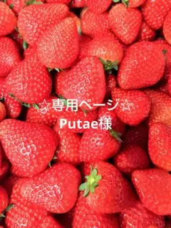 〖専用ページ〗アイアン　ミニチュア　　自転車とカゴ2点　ガーデニング　インテリア