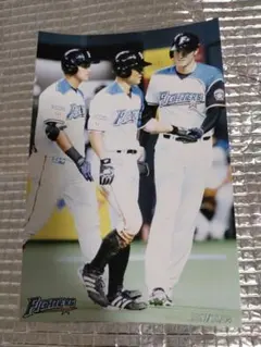 大谷翔平 2017 ハイライトフォト No.51 札幌最終戦 日本ハム 球団公式