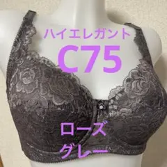2026年最新】シャンデール c75の人気アイテム - メルカリ
