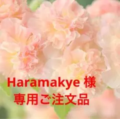 Haramakye 様　専用ご注文品③