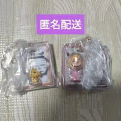 ☆PEANUTS スヌーピー パッケージチャーム 2個 ウッドストック サリー