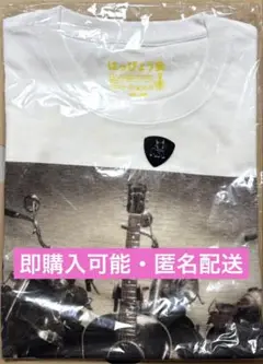 【新品・未使用】草彅剛　はっぴょう会　vol.1 Tシャツ　ピック　セット