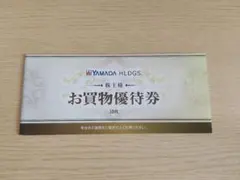 ヤマダ電機 お買物優待券 株主優待 5000円分