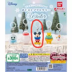 めじるしアクセサリー Winter ミッキーマウス