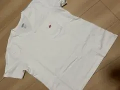 Item thumbnail for item c0ab6ba4-60dd-482d-9455-68b82e6bc6c4