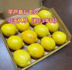 平戸島レモン　１２玉入り（約1.3キロ）　❺国産レモン
