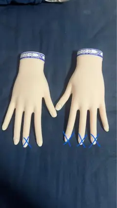 JNEC認定ハンドモデル