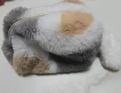 ポーチ 猫