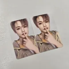 DREAMSCAPE Vertical Flip チョンロ　トレカ セット