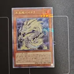 天盃龍パイドラ　25th クオシク　遊戯王①