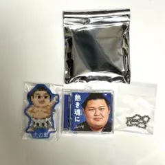 大相撲　横綱　大の里　CD風キーホルダー ドット絵力士アクリルバッジ