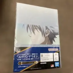 一番くじ エヴァンゲリオン クリアファイルセット 渚カヲル 加持リョウジ