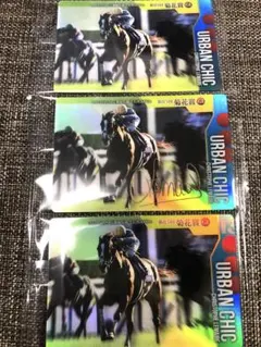 24時間発送　アーバンシック　サイン　カード　➕　ノーマル　2枚