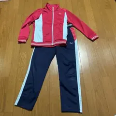PUMA ジャージ 上下セット ピンク ネイビー 160