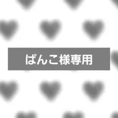 (制作中)ぱんこ様専用 2点おまとめ