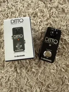 未使用 Ditto Looper ルーパー TC Electronic 元箱 TC Electronic DITTO+ LOOPER: ルーパーペダルのスタンダートとなった
