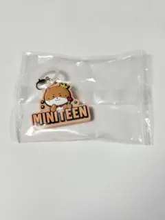 SEVENTEEN MINITEEN DINO ディノ チャンダリ ガチャ