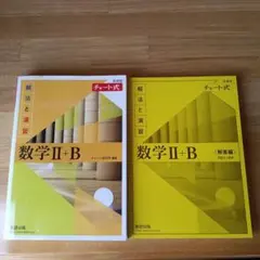 数学 II + B 解法と演習 2冊セット
